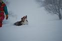 DSC_0020 (2)